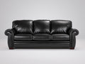 Canapé 3 places - Cuir - 216 x 95 x 90 cm - Noir - Style classique contemporain